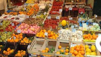 AAA gestore cercasi per l'outlet green del Centro Agroalimentare di Bologna AAA gestore cercasi per l'outlet green del Centro Agroalimentare di Bologna