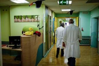 Bimbo di tre mesi colpito da meningite: infettato da una tartaruga d'acqua Bimbo di tre mesi colpito da meningite: infettato da una tartaruga d'acqua