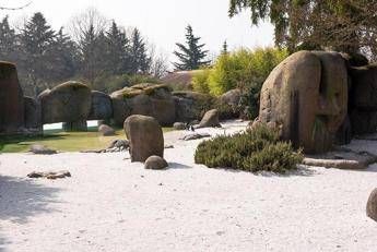 AAA habitat per pinguini vendesi (ma è una campagna di sensibilizzazione) AAA habitat per pinguini vendesi (ma è una campagna di sensibilizzazione)