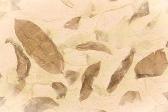 Torna 'RicicloAperto' in 111 impianti. Protagonisti, i ricordi di carta Torna 'RicicloAperto' in 111 impianti. Protagonisti, i ricordi di carta