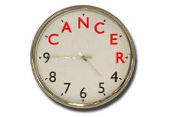 Gimbe: No a bufala in Rai su test che predice cancro Gimbe: No a bufala in Rai su test che predice cancro
