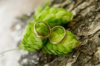 Feste più lunghe e informali, è boom per l'agri-matrimonio Feste più lunghe e informali, è boom per l'agri-matrimonio