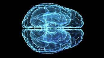 Malattie rare, da studio Neuromed passi avanti verso nuovi farmaci