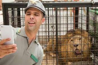 Checco Zalone: 40 anni da Re Mida del botteghino Checco Zalone: 40 anni da Re Mida del botteghino