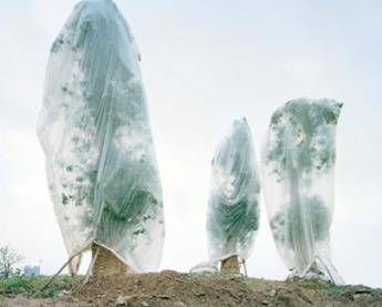 G7, Bologna ospita mostra fotografica 'Grow Conserve' /Foto G7, Bologna ospita mostra fotografica 'Grow Conserve' /Foto