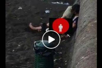 Napoli, sesso sul lungomare: la denuncia dei Verdi in un video Napoli, sesso sul lungomare: la denuncia dei Verdi in un video