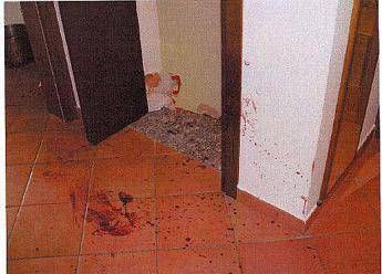 Sangue, bugie e colpi di scena: tutto sul caso Garlasco Sangue, bugie e colpi di scena: tutto sul caso Garlasco