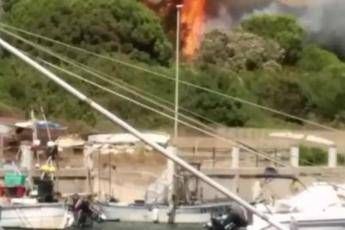 Roma, incendio in pineta a Ostia: litorale in tilt Roma, incendio in pineta a Ostia: litorale in tilt