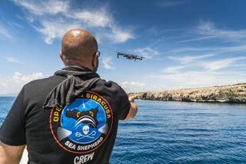 Contro la pesca illegale, Sea Shepherd porta a termine 'Operazione Siracusa' Contro la pesca illegale, Sea Shepherd porta a termine 'Operazione Siracusa'