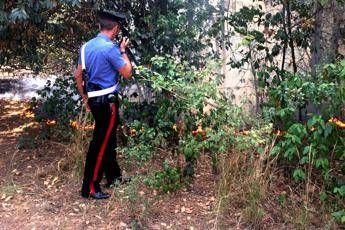 Roma, incendio nel parco di Villa Ada Roma, incendio nel parco di Villa Ada