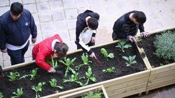 GreenCare 2017, il premio per chi si prende cura del verde di Napoli GreenCare 2017, il premio per chi si prende cura del verde di Napoli