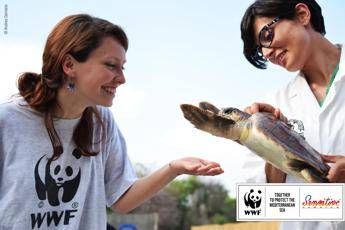Eurojersey e Wwf Italia insieme per la tutela del Mediterraneo Eurojersey e Wwf Italia insieme per la tutela del Mediterraneo