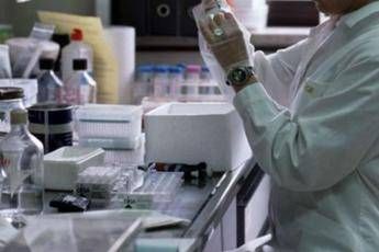 Allarme fertilità, in 40 anni spermatozoi dimezzati Allarme fertilità, in 40 anni spermatozoi dimezzati