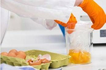 Cos'è il Fipronil, l'insetticida delle uova 'tossiche' Cos'è il Fipronil, l'insetticida delle uova 'tossiche'
