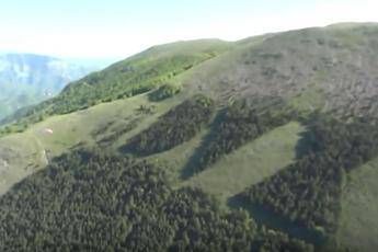 Forest that spelled 'Dux' - Mussolini's Latin moniker - destroyed by fire Forest that spelled 'Dux' - Mussolini's Latin moniker - destroyed by fire