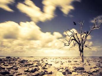 Clima, 2017 secondo anno più caldo per il Pianeta Clima, 2017 secondo anno più caldo per il Pianeta