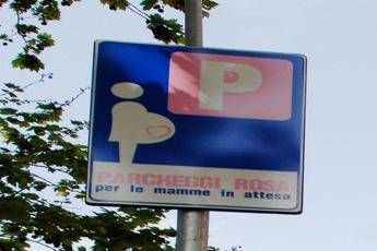Lega: parcheggi rosa, ma solo per le italiane. Scoppia la polemica Lega: parcheggi rosa, ma solo per le italiane. Scoppia la polemica