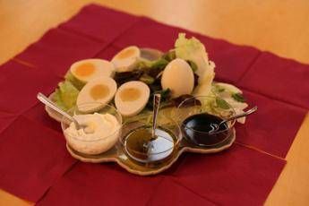 Nasce l'uovo sodo vegano, il brevetto a Udine Nasce l'uovo sodo vegano, il brevetto a Udine