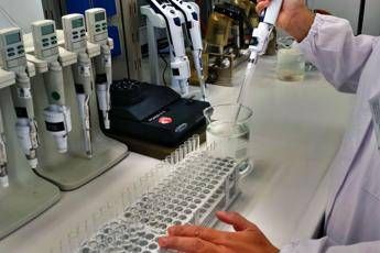 Allarme Chikungunya, altri 4 casi a Roma Allarme Chikungunya, altri 4 casi a Roma