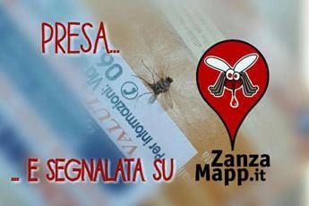Zanzara tigre, ecco l'app che l'acchiappa Zanzara tigre, ecco l'app che l'acchiappa