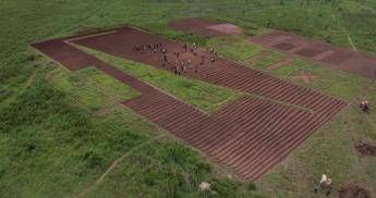 Un messaggio 'sul campo' dagli agricoltori africani ai leader della Terra Un messaggio 'sul campo' dagli agricoltori africani ai leader della Terra