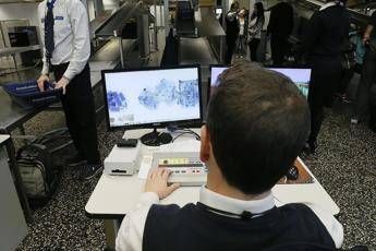 Non dichiara mela alla dogana, multa da 500 dollari Non dichiara mela alla dogana, multa da 500 dollari