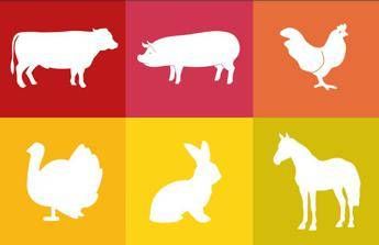 Accademia Agricoltura: consumo di carne tra fake news e sostenibilità Accademia Agricoltura: consumo di carne tra fake news e sostenibilità