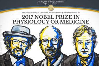 Nobel, chi sono i 3 papà dell'orologio biologico Nobel, chi sono i 3 papà dell'orologio biologico