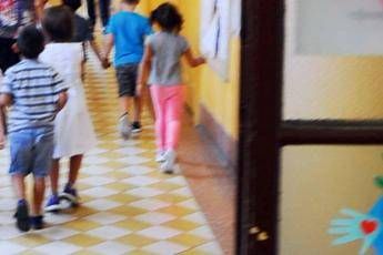 Topo cade in testa alla maestra Topo cade in testa alla maestra