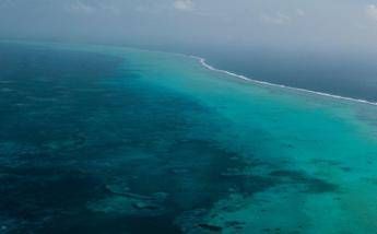 Più di 19 milioni di dollari l’anno. Ecco quanto vale la barriera corallina del Belize Più di 19 milioni di dollari l’anno. Ecco quanto vale la barriera corallina del Belize