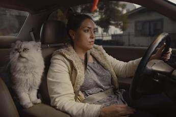 Vuole vendere la vecchia auto della fidanzata, l'idea fa boom Vuole vendere la vecchia auto della fidanzata, l'idea fa boom