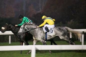 Ippodromo San Siro da record, raddoppiati accessi nella stagione Ippodromo San Siro da record, raddoppiati accessi nella stagione