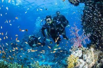 Sott'acqua senza barriere, avventura in Mar Rosso per i ragazzi di Delfosub Sott'acqua senza barriere, avventura in Mar Rosso per i ragazzi di Delfosub