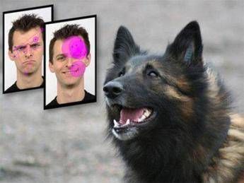 Il sorriso conquista anche i cani, merito dell'ormone dell'amore Il sorriso conquista anche i cani, merito dell'ormone dell'amore