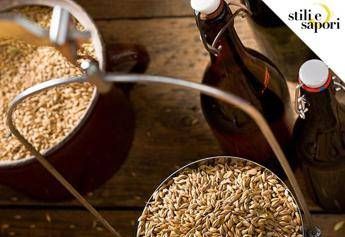 Gastronomia, a Padova 'Stili e Sapori' Gastronomia, a Padova 'Stili e Sapori'