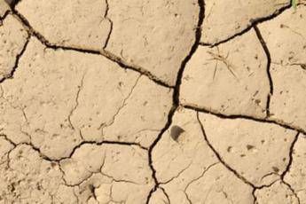 L'allarme: 25% Terra rischia di diventare deserto L'allarme: 25% Terra rischia di diventare deserto