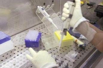 Virus killer, via libera a studi in Usa Virus killer, via libera a studi in Usa