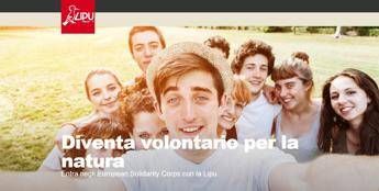 AAA 310 volontari cercasi per difendere la natura AAA 310 volontari cercasi per difendere la natura