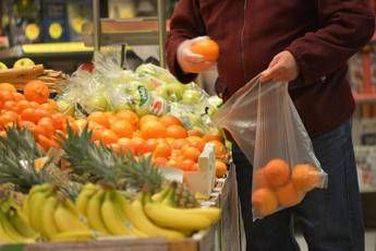 Sacchetti bio per frutta e verdura, ecco quanto costeranno Sacchetti bio per frutta e verdura, ecco quanto costeranno