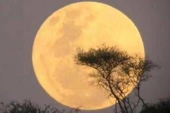 Ritorna la Notte della Luna Ritorna la Notte della Luna
