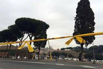 M5S: Di Maio al Circo Massimo ma non sul palco. Insorge il Pd M5S: Di Maio al Circo Massimo ma non sul palco. Insorge il Pd