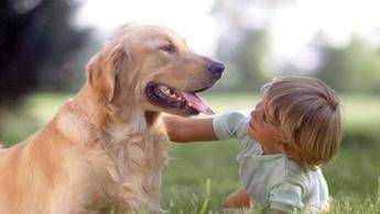 Diventare 'pet therapist', il metodo della Federico II è certificato Diventare 'pet therapist', il metodo della Federico II è certificato