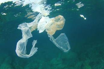 Su sacchetti bio resta prioritario l'aspetto ambientale Su sacchetti bio resta prioritario l'aspetto ambientale