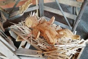 Budrio, mutilata statuina Bambin Gesù nel presepe Budrio, mutilata statuina Bambin Gesù nel presepe