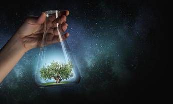 Biodegradabile, compostabile, rinnovabile: che significa? Biodegradabile, compostabile, rinnovabile: che significa?