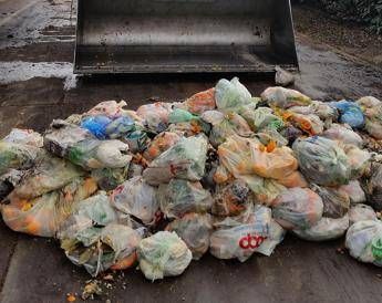 Sacchetti bio: le cose da sapere per la raccolta dell’umido Sacchetti bio: le cose da sapere per la raccolta dell’umido