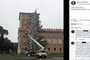 Forse ci mancherai, l'addio di Paola Taverna a Spelacchio Forse ci mancherai, l'addio di Paola Taverna a Spelacchio