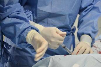 Trasfusioni e trapianto in utero per la prima volta al mondo Trasfusioni e trapianto in utero per la prima volta al mondo