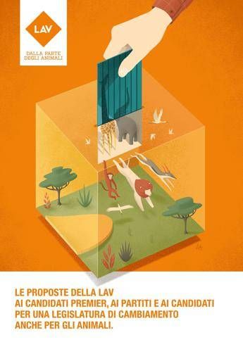Lav, una legislatura di cambiamento anche per animali Lav, una legislatura di cambiamento anche per animali