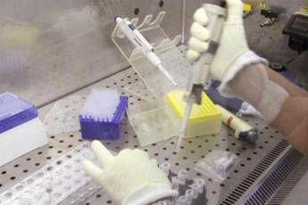 Virus Nilo, altri 2 morti Virus Nilo, altri 2 morti